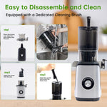 Kitchizon juicer on kitchen countertop, front view